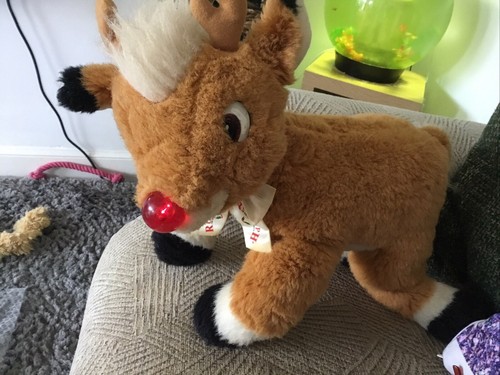 The rudolph company light up - company,