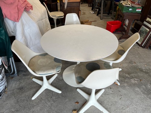 Iconic 1960s arkana tulip - iconic, 5