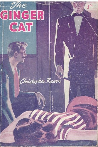 The ginger cat christopher - cat,