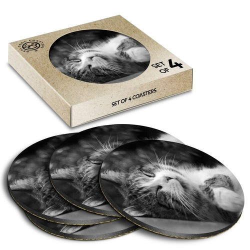 Boxed round coasters bw - x,