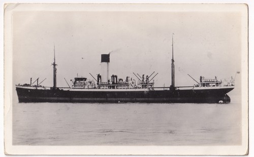 Phemius blue funnel line - ss,