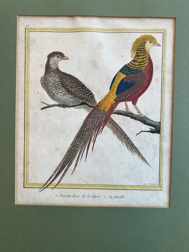 Antique 1765 hand - , colored