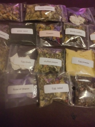 Land hermit crab food - land,