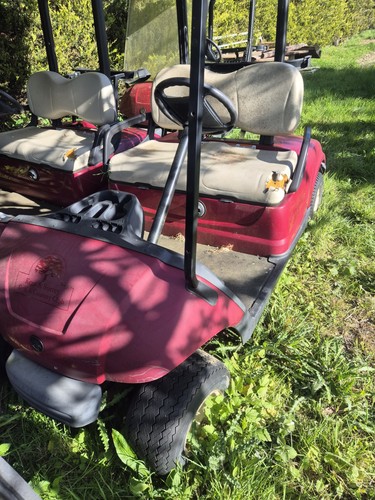 Electric golf buggy - 1,
