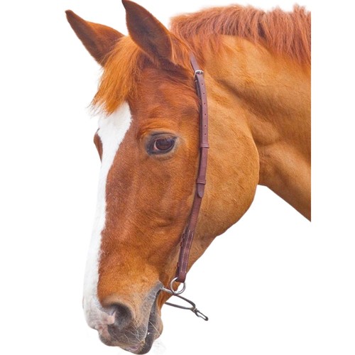 Shires velociti gara chifney - velociti,