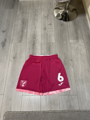 Norwich city match worn harry - match,