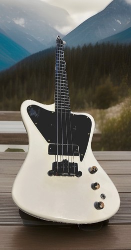 Gibson non reverse thunderbird - gibson,