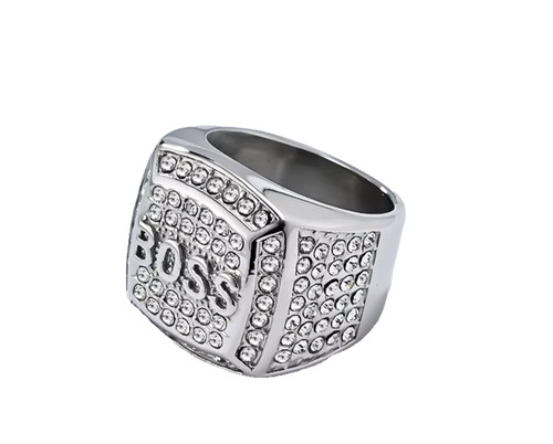 Boss men stainless - stainless, steel