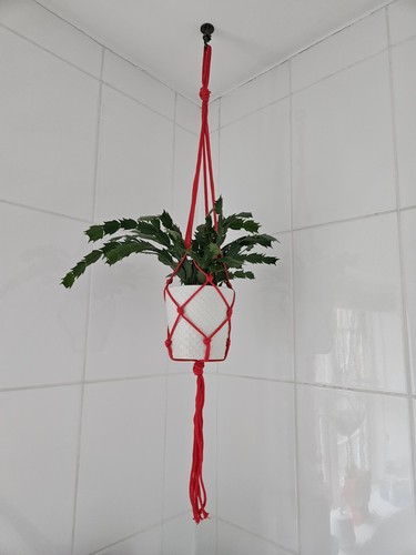 Macrame hanging plant - hanging,