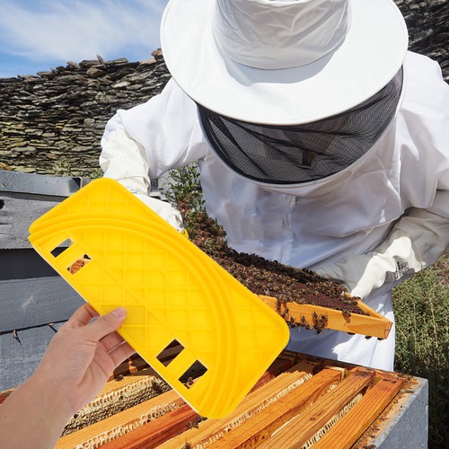 Beekeeping grafting tool honey - grafting,
