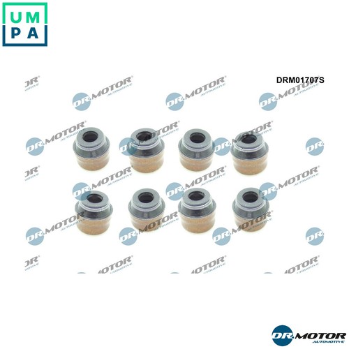 Seal ring valve - seal, stem