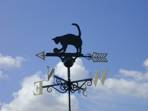 Poppy forge cat and ball - poppy,