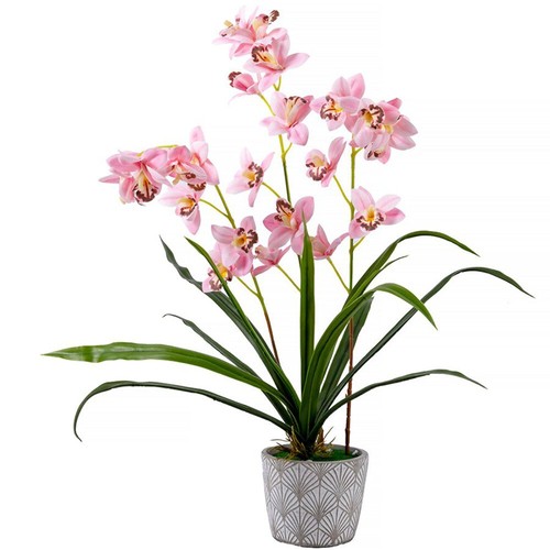 Forever flowerz cymbidium - flowerz,