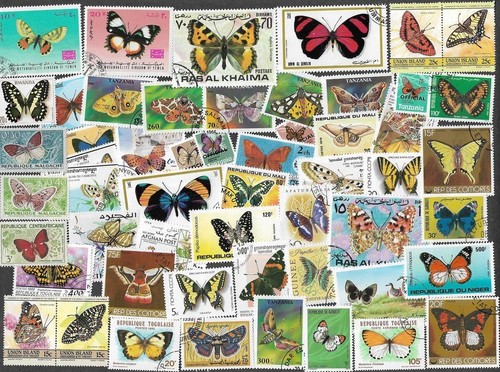 Butterflies and moths on - and,
