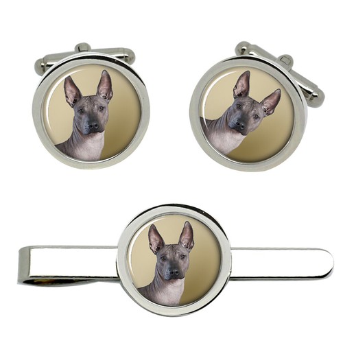 Mexican hairless dog cufflinks - mexican,