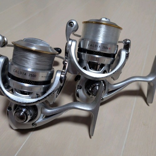 Daiwa caldia 2506h - 11,