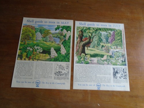 Vintage ads shell - , guide