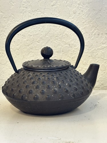 Iwachu japanese black cast - japanese,