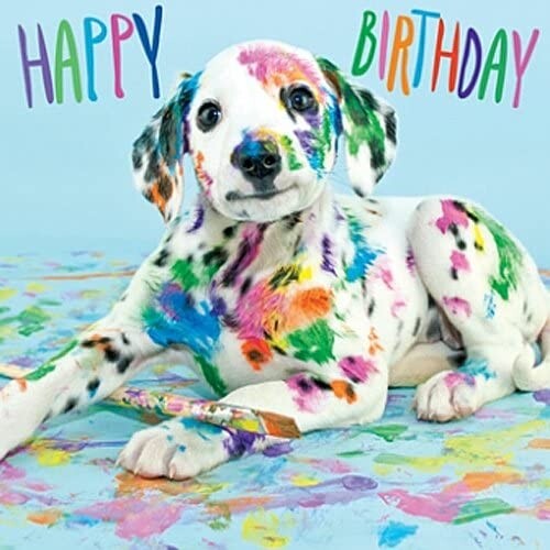 Funny dalmatian and paint - funny,