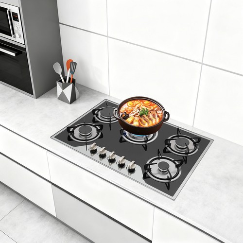 Burner gas stove - stove, iron