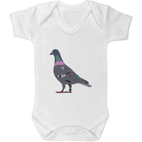 Racing pigeon baby - pigeon', /