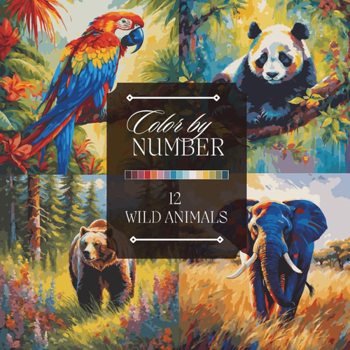 Color number adult coloring - by,