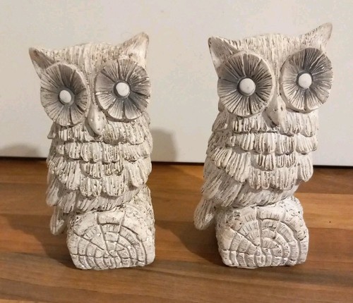 Barn tawny owl - 2,