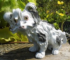Dresden porcelain Bolognese dog RARE large  Z