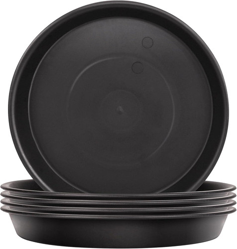 Pack plant saucers - plant, saucers,