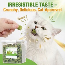 260g Freeze-dried Cat Grass