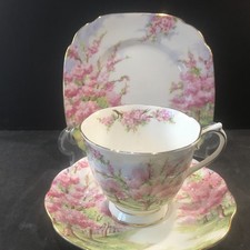 Royal Albert Blossom Time Cup