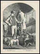 CAIRN FOX MANCHESTER DANDIE DINMONT TERRIER DOGS ANTIQUE 1867 ENGRAVED DOG PRINT