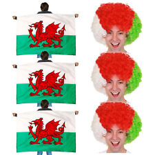 WALES FANCY DRESS SUPPORTERS