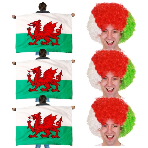 Wales fancy dress supporters - fancy,