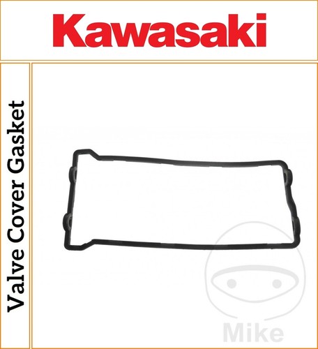 Kawasaki 10r 1000 ninja - kawasaki,