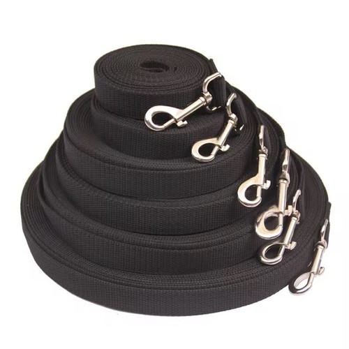 20mm black dog training - dog,