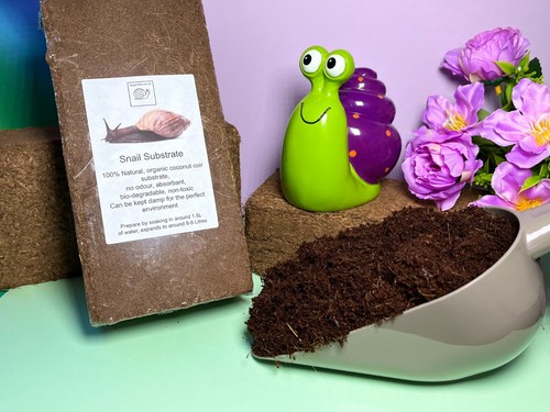 Snail soil land - land,
