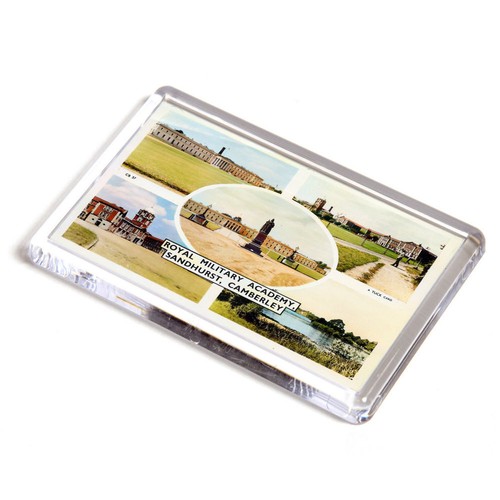 Fridge magnet vintage surrey - fridge,