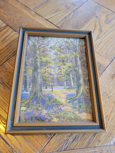 Hyacinths flora pilkington - hyacinths,