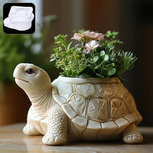 New beach turtle succulent - new,