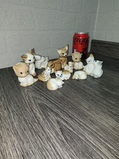 SZEILER cats dogs rabbits x 12