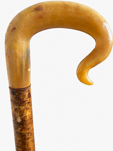 New hazel walking stick rams - new,