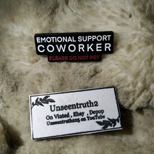 Emotional Support Co Worker