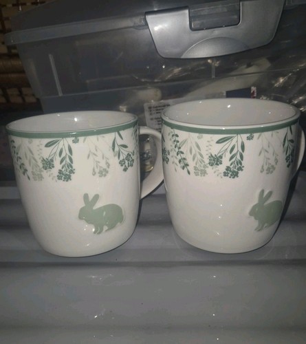 Rabbit mugs beautifully - rabbit,
