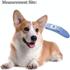 Non-Contact Pet Thermometer
