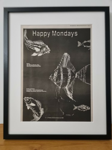 Happy mondays original framed - mondays,