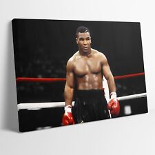 Mike Tyson Boxing Icon