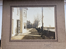 Large Photographs Southwell Howard Barrett X 3 300mm X 245mm. House Cat Garden