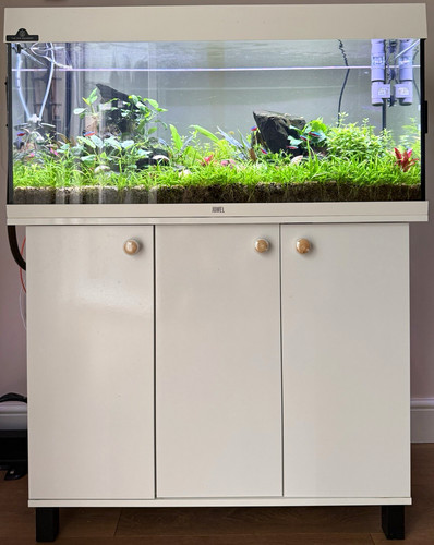 Juwel 180l glass - glass, freshwater