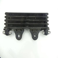 Honda CBX 750 RC17 initial